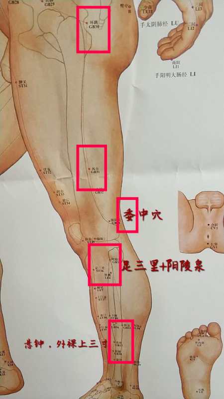 当腰椎病症压迫神经导致坐骨神经痛 腿疼 脚麻时,我们可以贴敷腿部